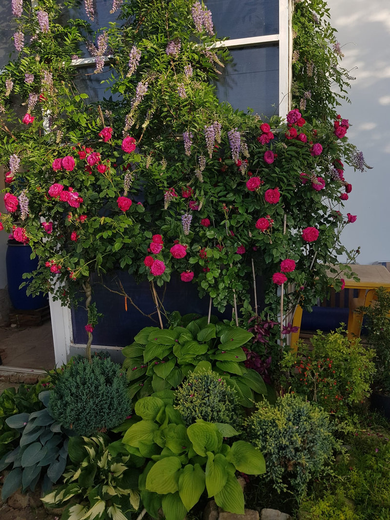 Снимка 22 от галерията