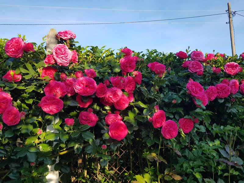 Снимка 32 от галерията