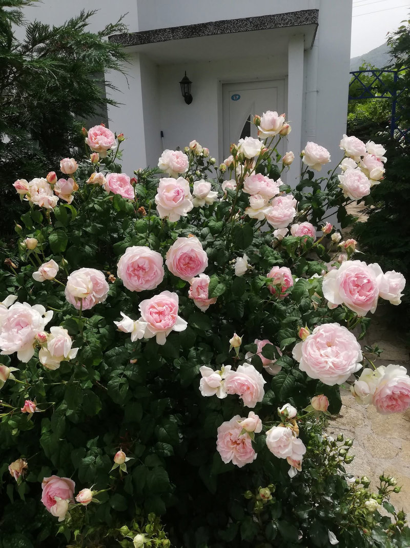 Снимка 33 от галерията