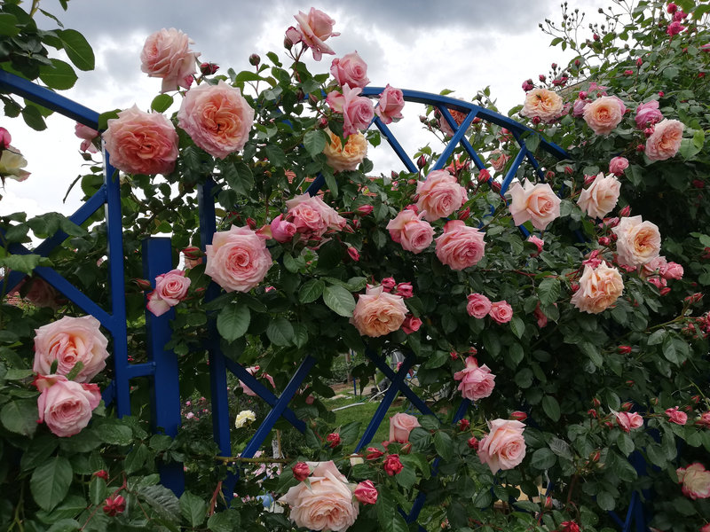 Снимка 41 от галерията