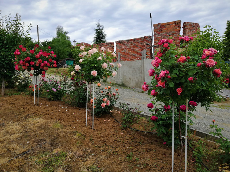 Снимка 42 от галерията