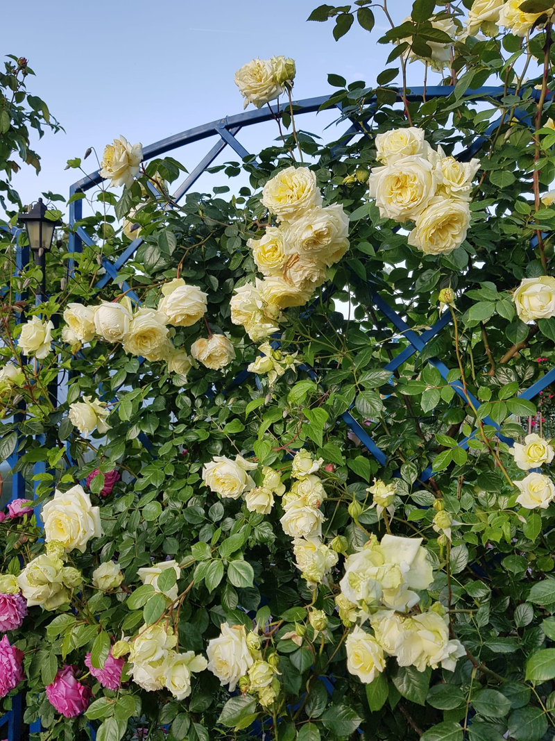 Снимка 57 от галерията