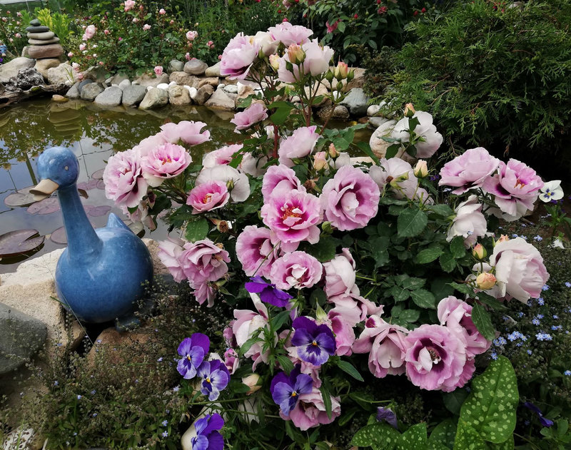 Снимка 66 от галерията