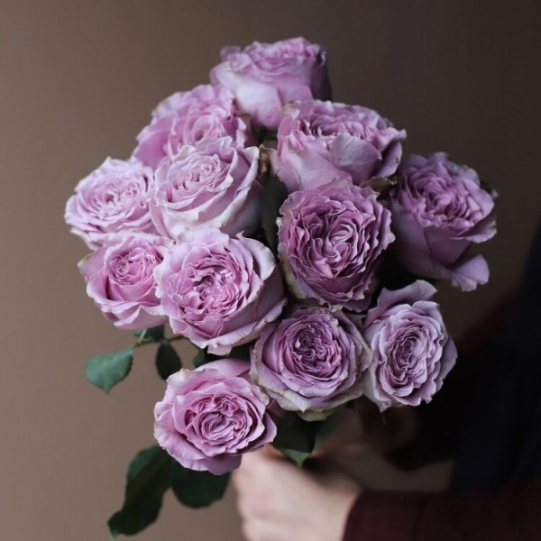 Ч-162 - Роза в саксия 3 л