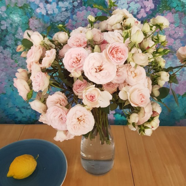 К-066 - Роза гол корен